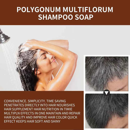 Sol LORA Natural Darkening Shampoo Soap ( BUY 1 GET 1 FREE )