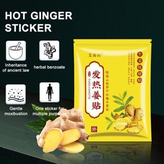 Herbal Ginger Neck Back Body Pain Patch ( BUY 1 GET 1 FREE )