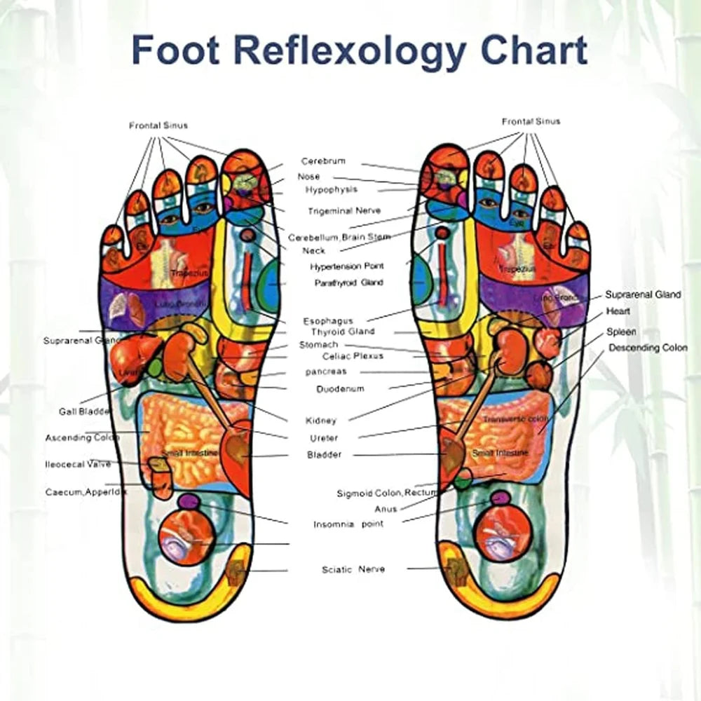 ALIVER Natural Detox Foot Pads ( BUY 1 GET 1 FREE )