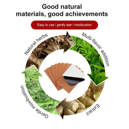 Herbal Ginger Neck Back Body Pain Patch ( BUY 1 GET 1 FREE )